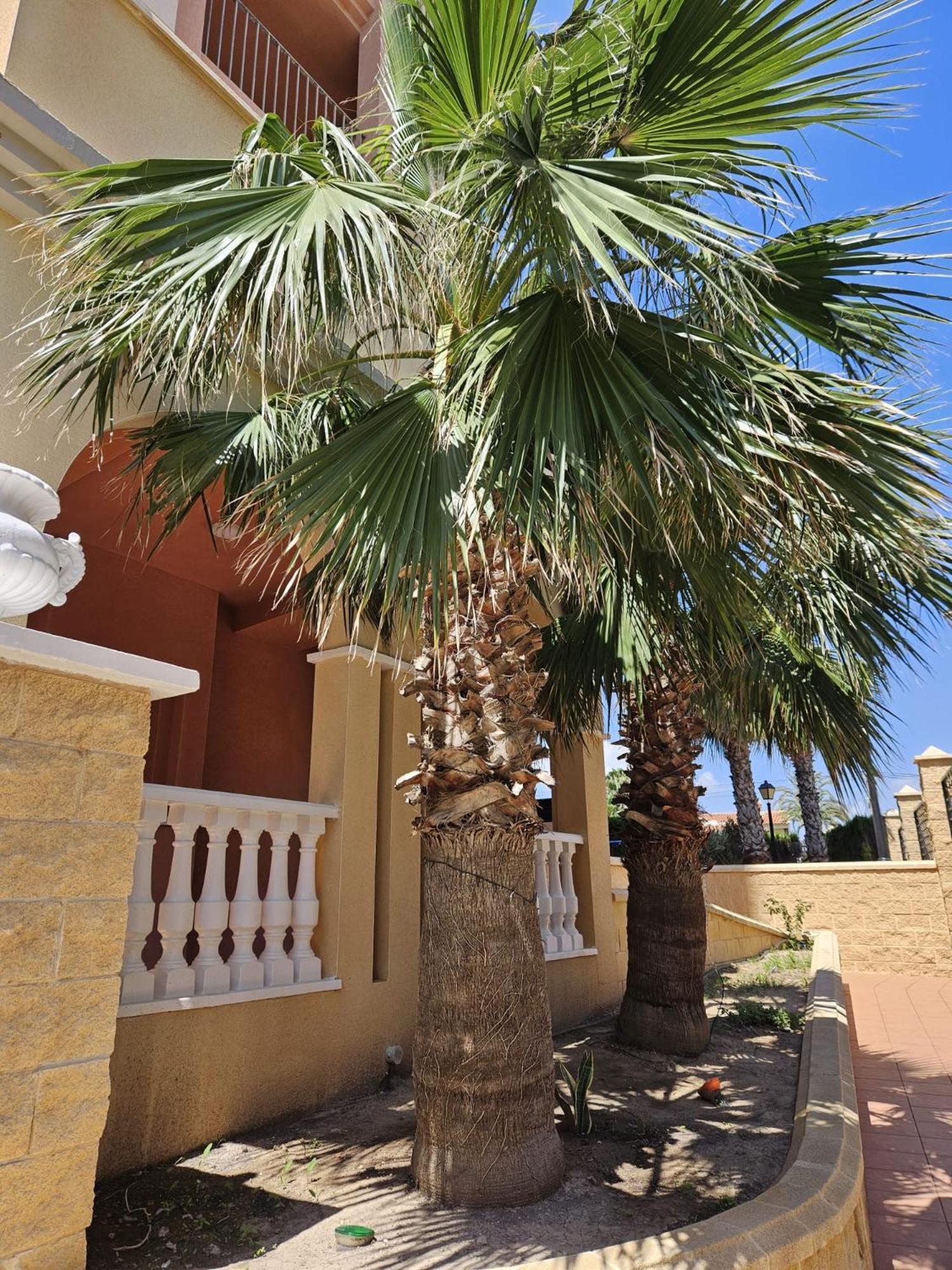Atalayas Vista Torrevieja Exterior foto